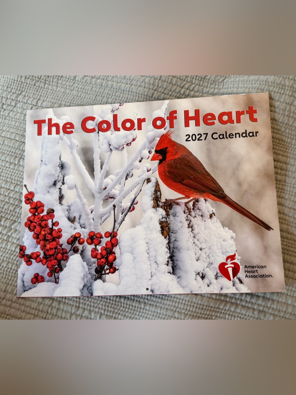 "The Color of Heart" (Red Themed) 2027 Wall Calendar